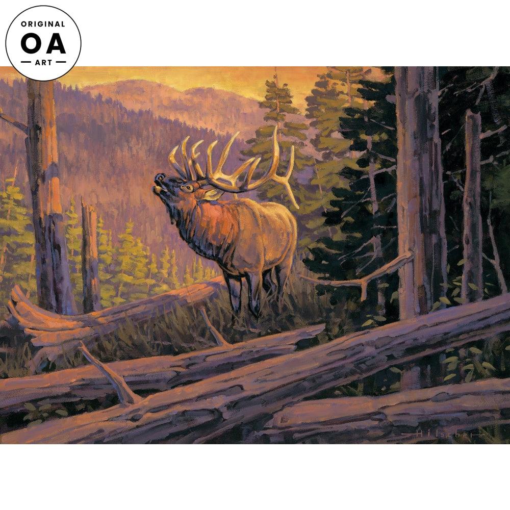 The Conquest—Elk Original Oil Painting - Wild Wings