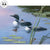 Two Young Chicks—Loons Original Acrylic Painting - Wild Wings