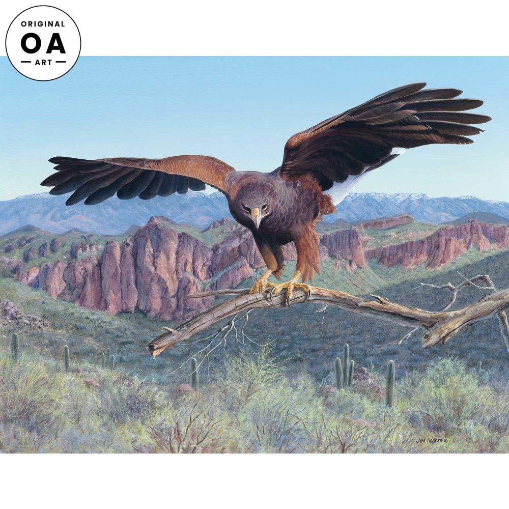 Attack—Harris Hawk Original Acrylic Painting - Wild Wings