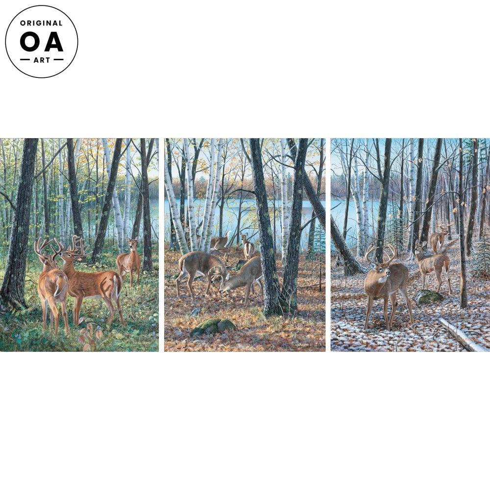 Seasons of the Woods—Whitetail Deer Original Acrylic Painting - Wild Wings