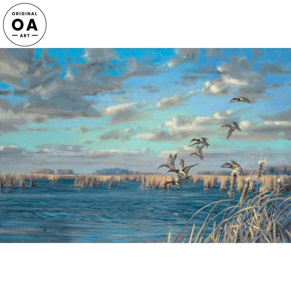 Northwest Wind—Canvasbacks Original Oil Painting - Wild Wings