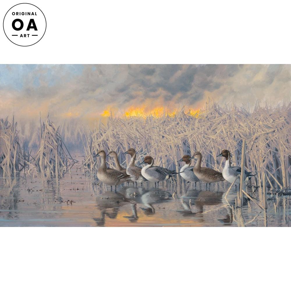 Pintails & Marsh Fire Original Oil Painting - Wild Wings