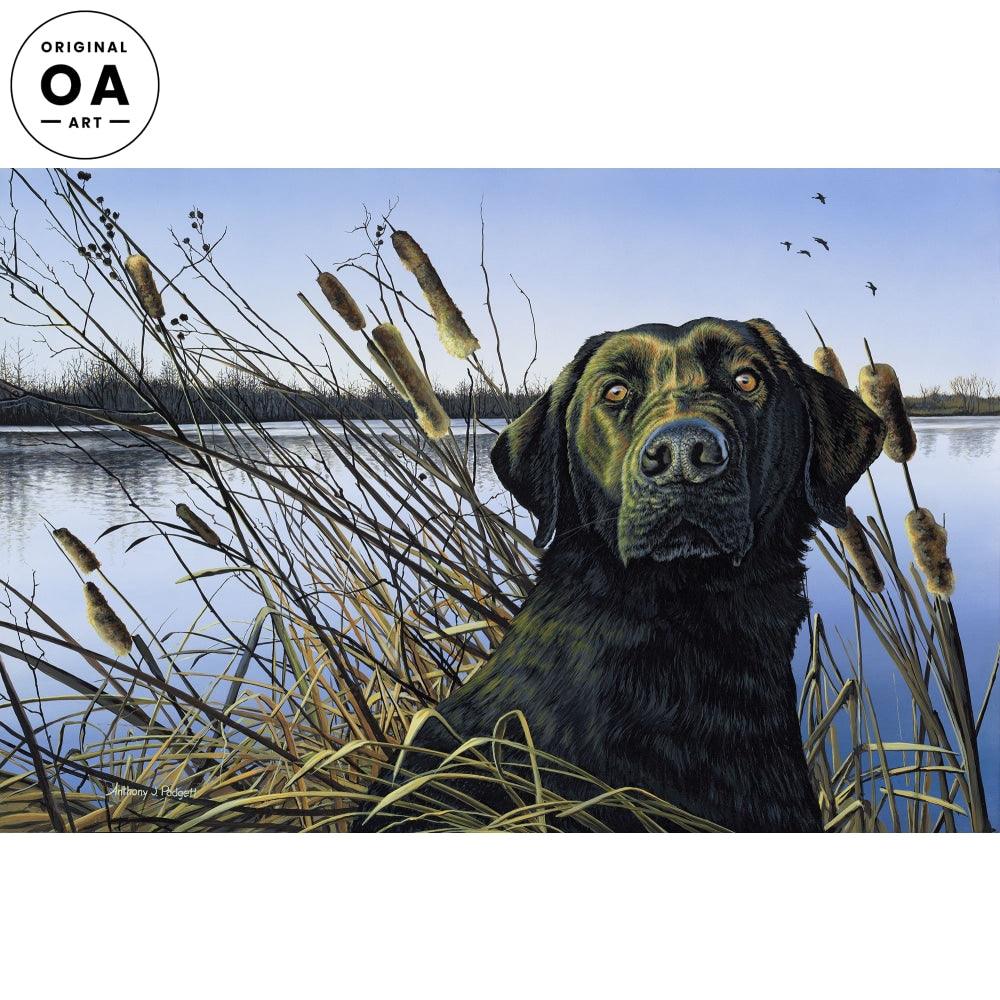 Anticipation—Black Lab with Cattails Original Acrylic Painting - Wild Wings