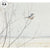 Winter Willow—Northern Shrike Original Watercolor Painting - Wild Wings