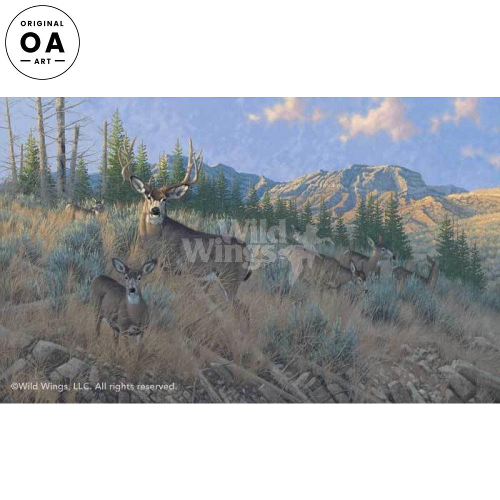 Magic Hour-Mule Deer Original Oil Painting – Wild Wings