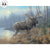 Out of the Mist—Moose Original Oil Painting - Wild Wings