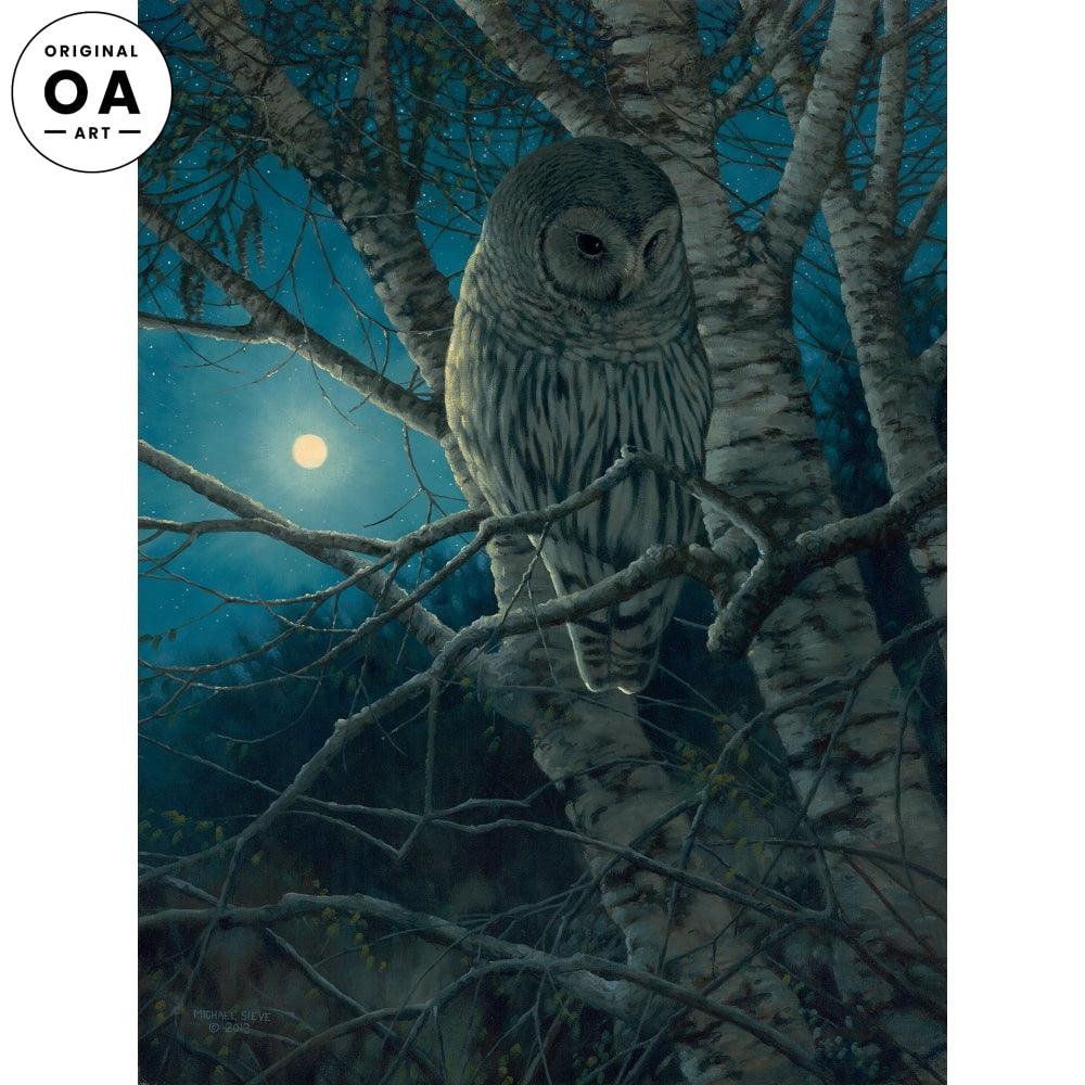 Thunder Valley—Who Cooks for You?—Barred Owl Original Oil Painting - Wild Wings