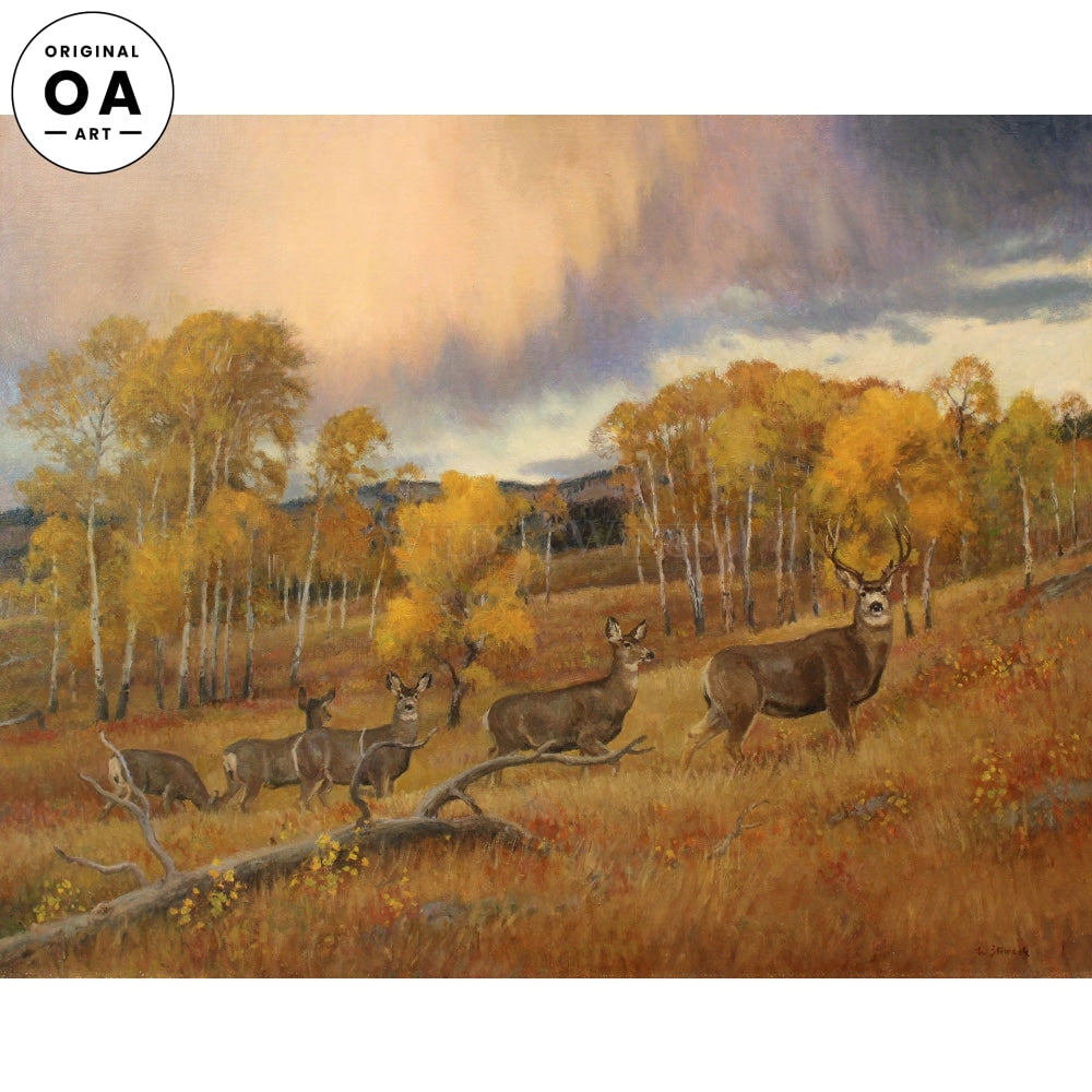 Autumn Mule Deer, Lamar Valley Original Oil Painting - Wild Wings