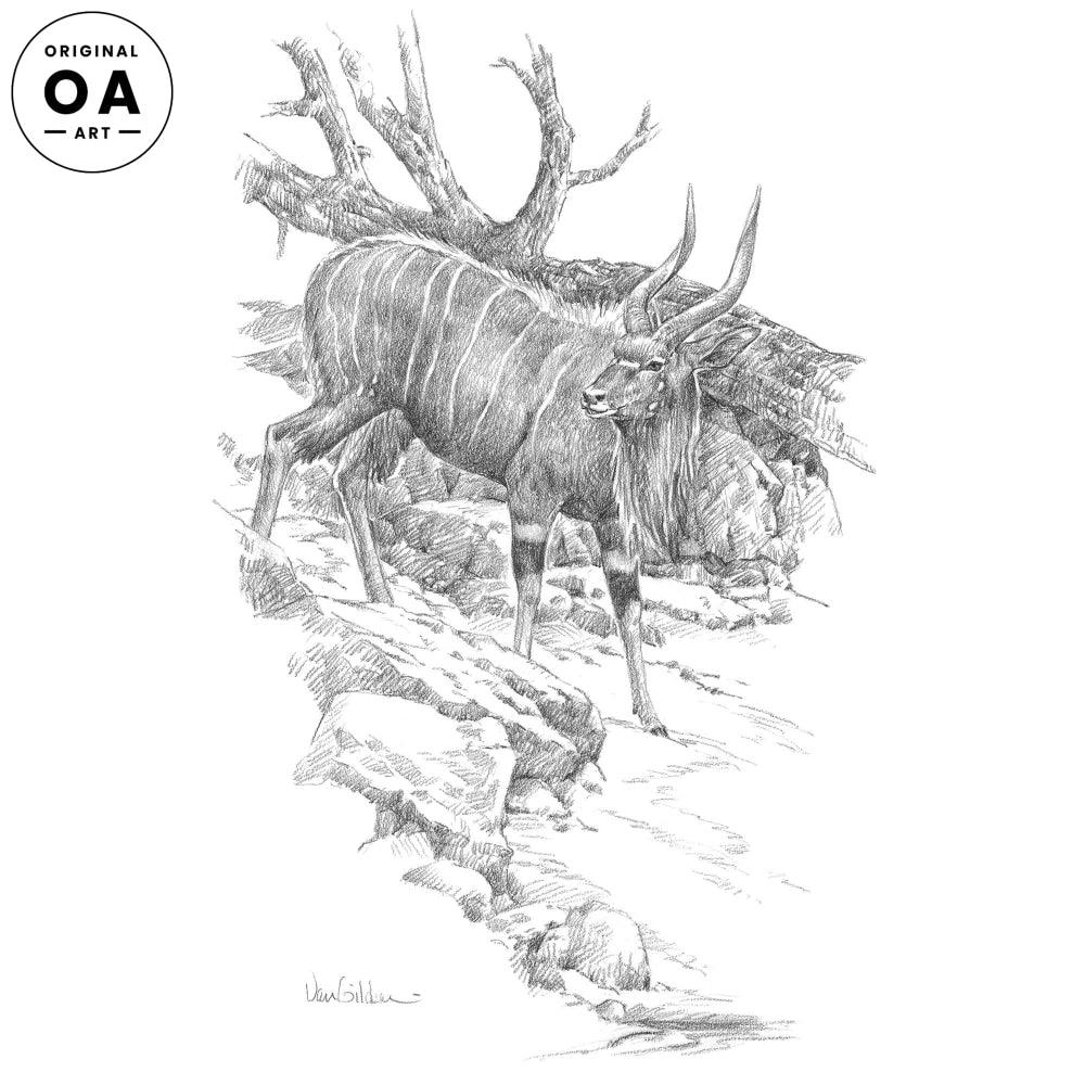 Nyala (Antelope) Original Pencil Drawing - Wild Wings