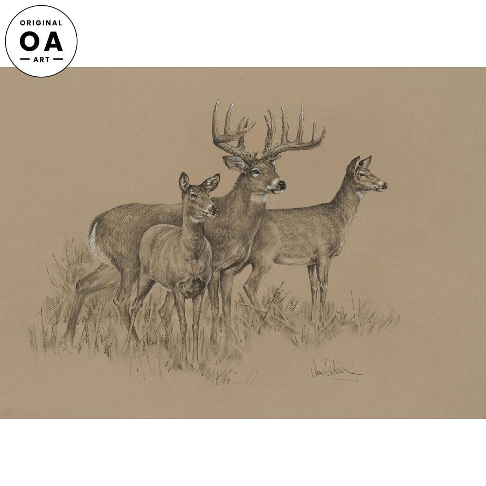 Deer Pencil Original Pencil Drawing - Wild Wings