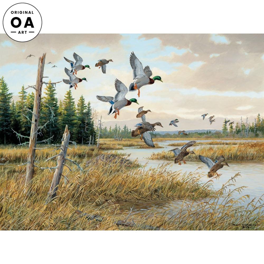 Hidden Pond—Mallards Original Acrylic Painting - Wild Wings