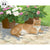 Garden Mascot—Cat Original Acrylic Painting - Wild Wings