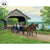 Lakeside Drive—Horse Drawn Carriage Original Acrylic Painting - Wild Wings
