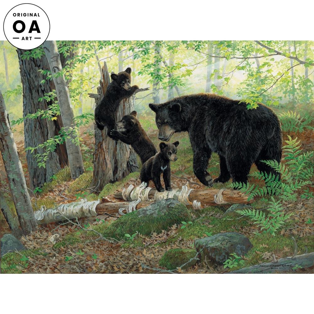 Playtime—Black Bears Original Acrylic Painting - Wild Wings
