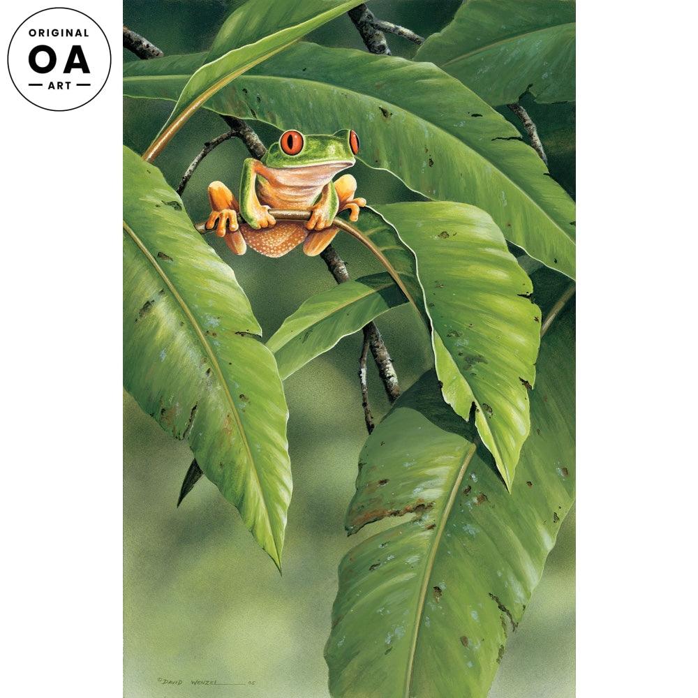 Small World—Tree Frog Original Acrylic Painting - Wild Wings