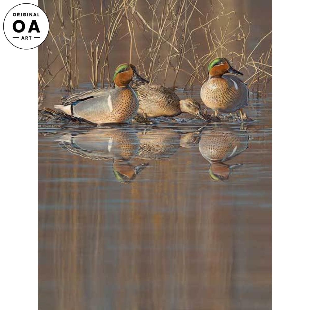 Amber Waters—Green—winged Teal Original Acrylic Painting - Wild Wings