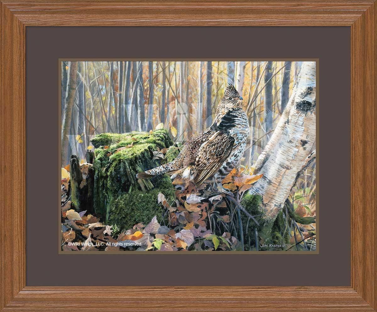 Brief Pose—Ruffed Grouse Art Collection - Wild Wings