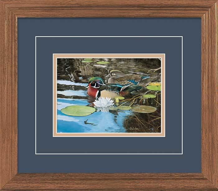 Reflections of Spring—Wood Ducks GNA Deluxe Framed Print - Wild Wings