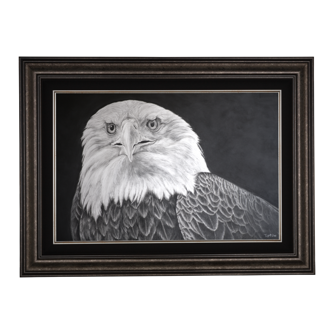 *Original* Eagle Eyes by Eddie Tipton 25