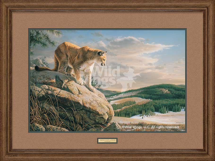 Vantage Point—Cougar Art Collection - Wild Wings