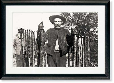 Snake Roundup Art Collection - Wild Wings