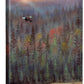 Misty ForestBald Eagle Gallery Wrapped Canvas - Wild Wings