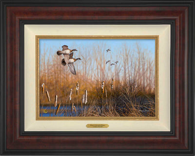 Return Among the Cattails—Wood Ducks; Artist Proof Edition (AP)