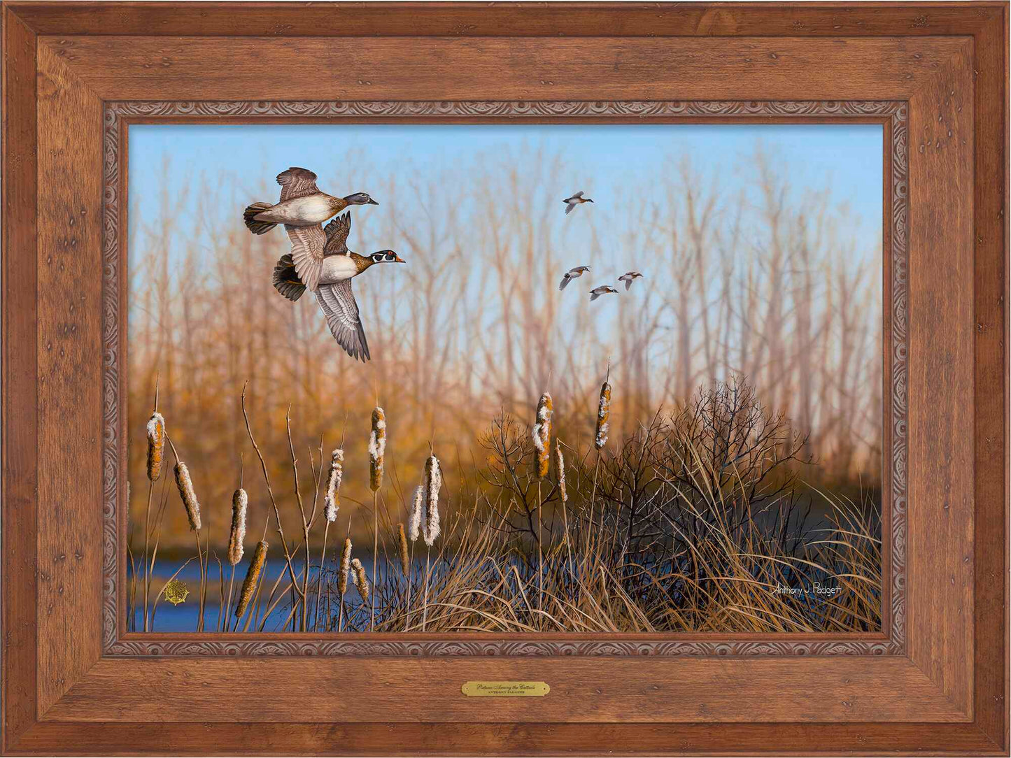 Return Among the Cattails—Wood Ducks; Studio Artist Edition (SA)