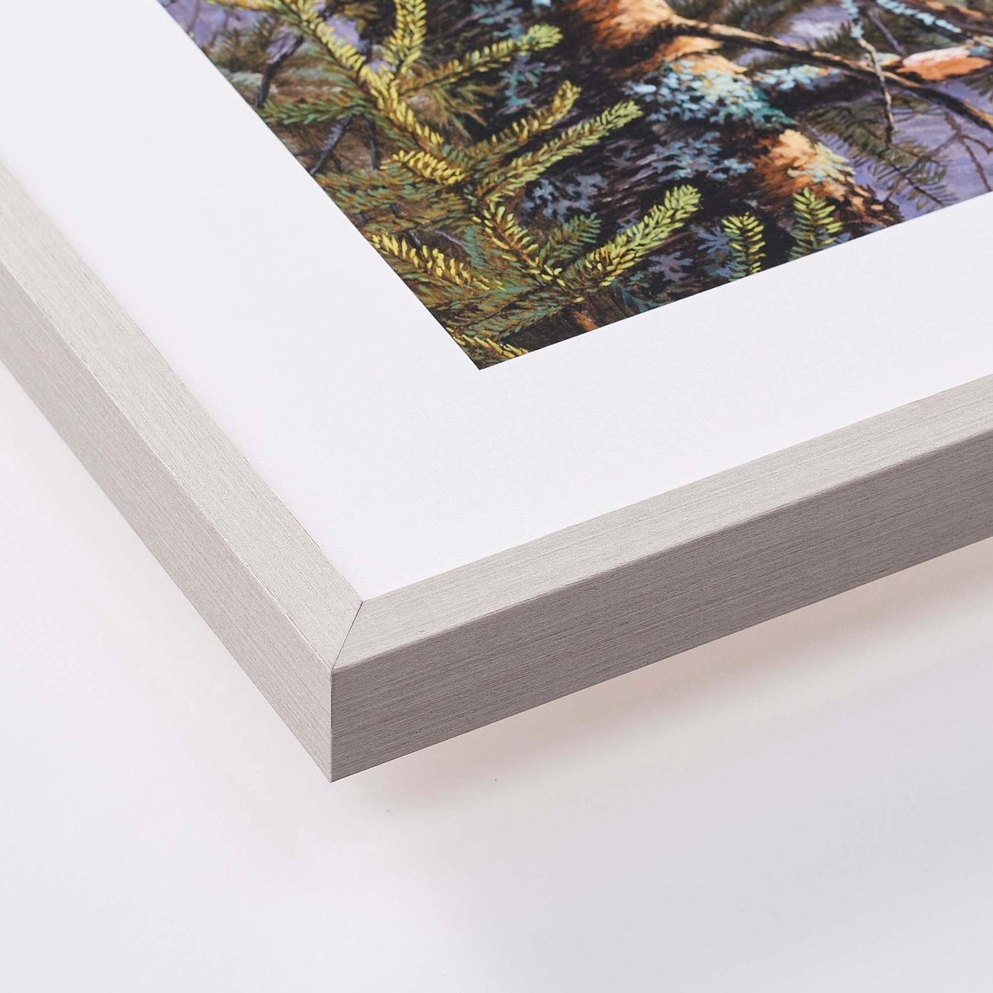 Fox at Evening—Bridger Creek Limited Edition Paper Print - Wild Wings