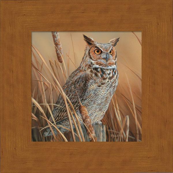 Great Horned Owl Framed Print - Wild Wings
