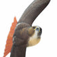 Soaring Red-tailed Hawk Sculpture - Wild Wings