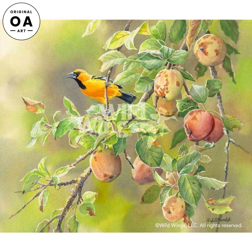 Oriole & Apples Original Watercolor Painting - Wild Wings