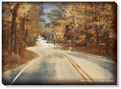 Winding Road Art Collection - Wild Wings