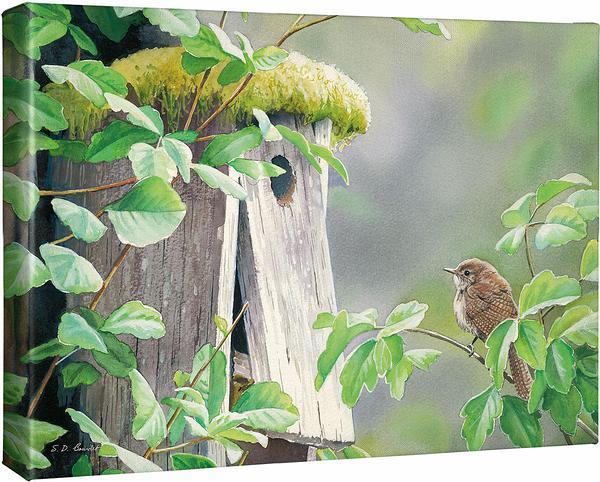 A Fixer Upper—House Wren Gallery Wrapped Canvas - Wild Wings