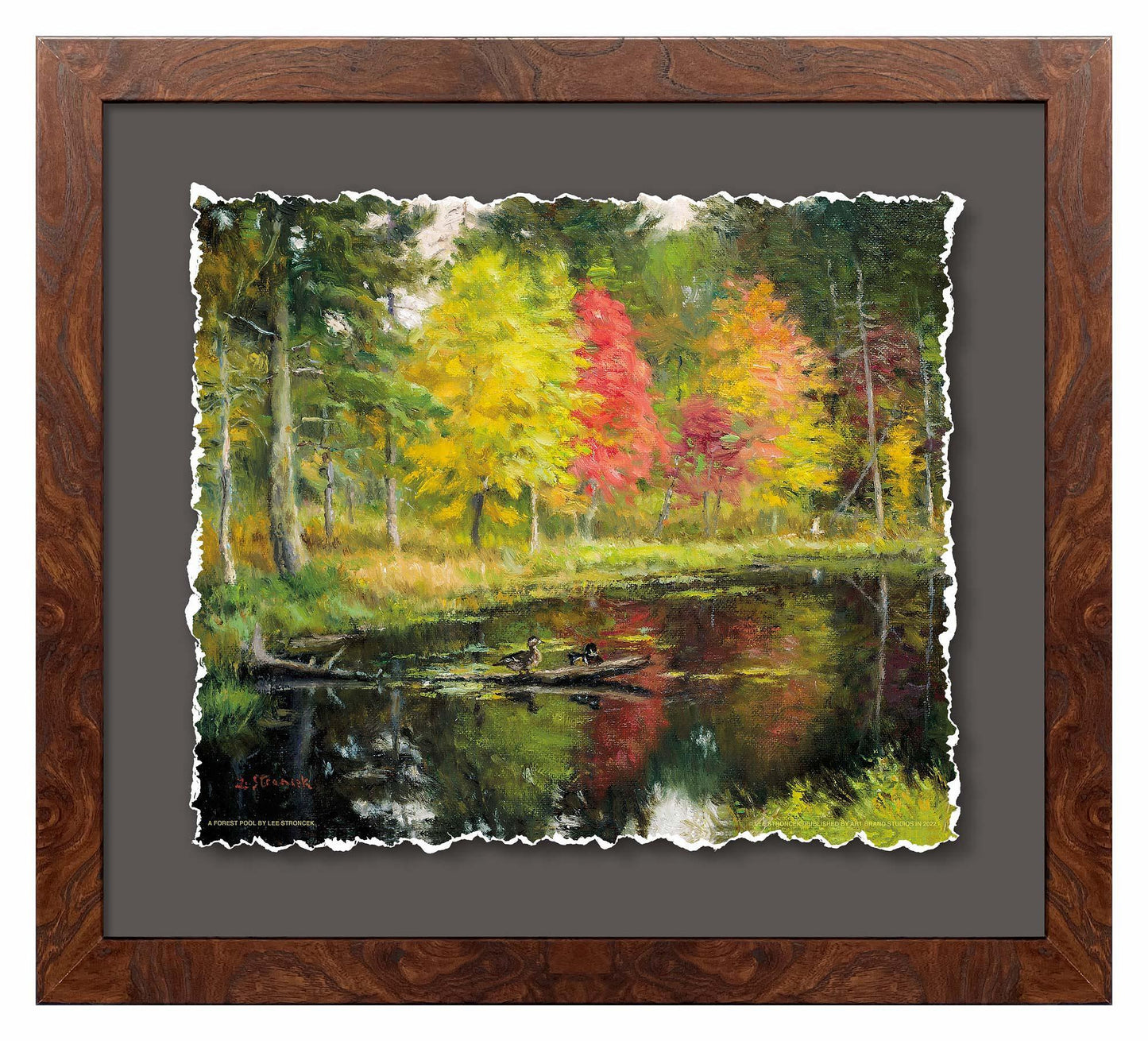 A Forest Pool—Wood Ducks Deckled Edge Paper Print - Wild Wings