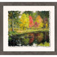 A Forest Pool—Wood Ducks Deckled Edge Paper Print - Wild Wings
