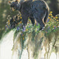 Abundance-Black Bear Original Gouache Painting - Wild Wings