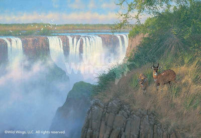 Victoria Falls—Bush Buck Art Collection - Wild Wings