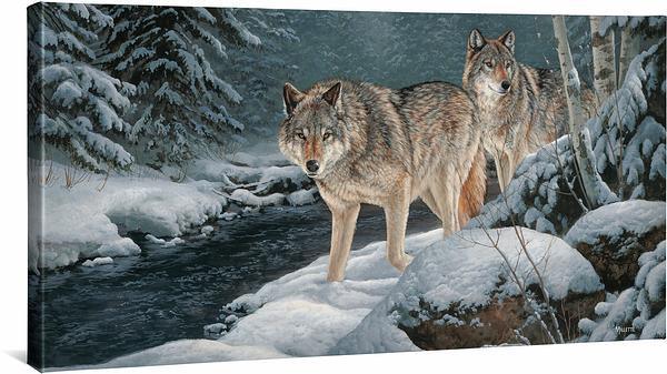 Along the Creekside—Wolves Gallery Wrapped Canvas - Wild Wings