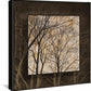 Among Trees—Cream Gallery Wrapped Canvas - Wild Wings