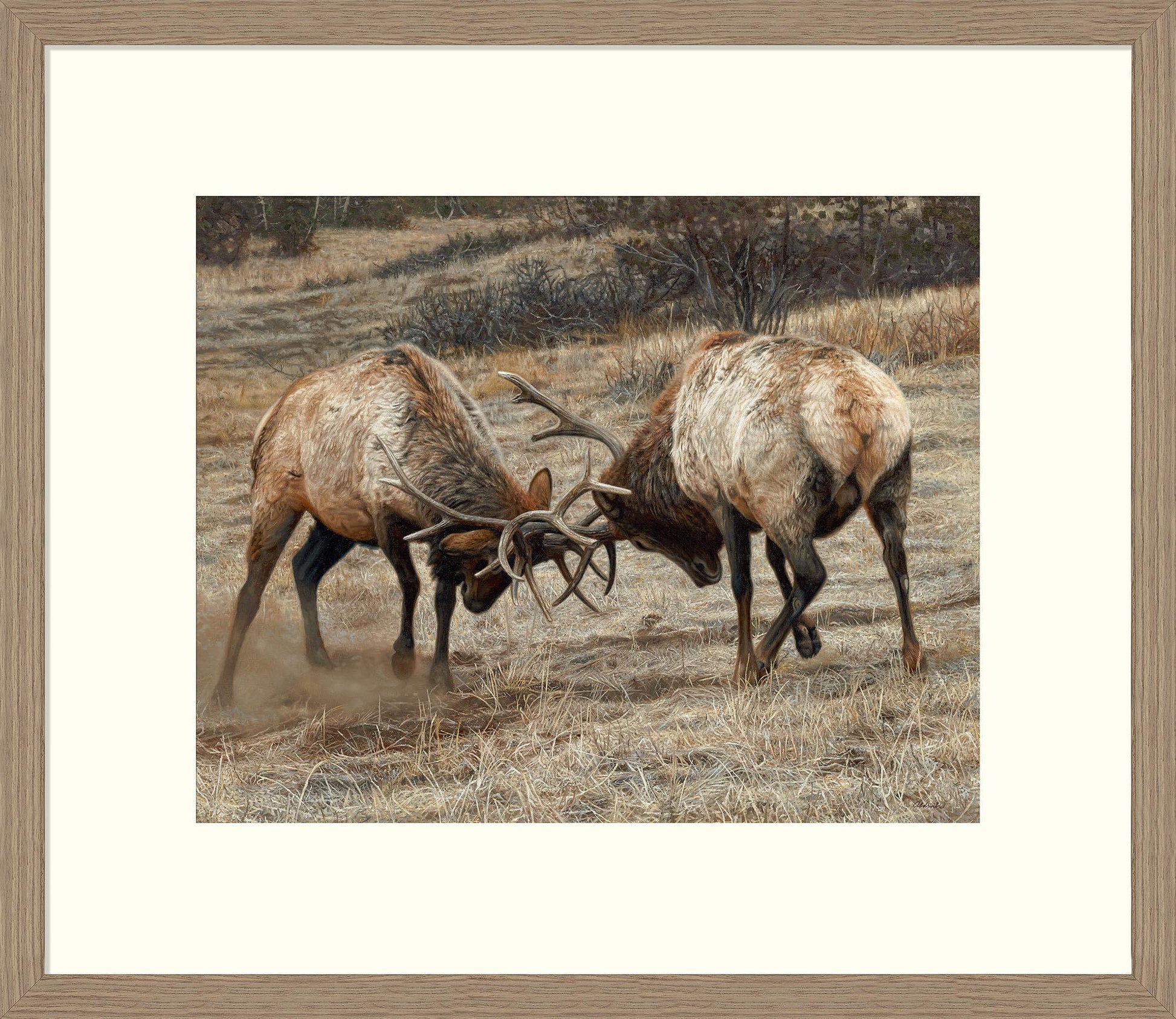 Anything for Love—Elk Limited Edition Paper Print - Wild Wings