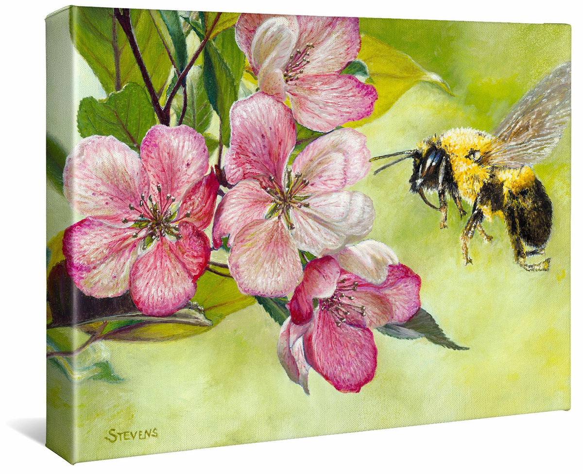 Apple—Bee Gallery Wrapped Canvas - Wild Wings