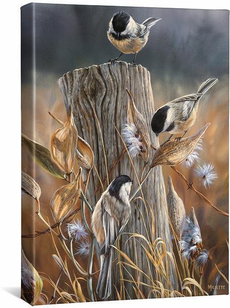 Autumn—Black Capped Chickadee Gallery Wrapped Canvas - Wild Wings