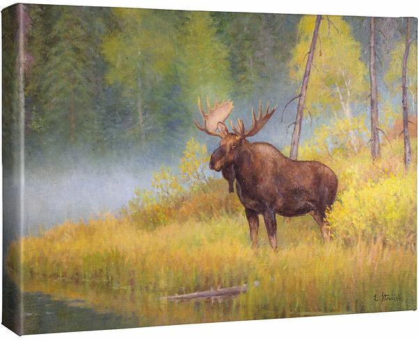 Autumn Bull—Moose Gallery Wrapped Canvas - Wild Wings