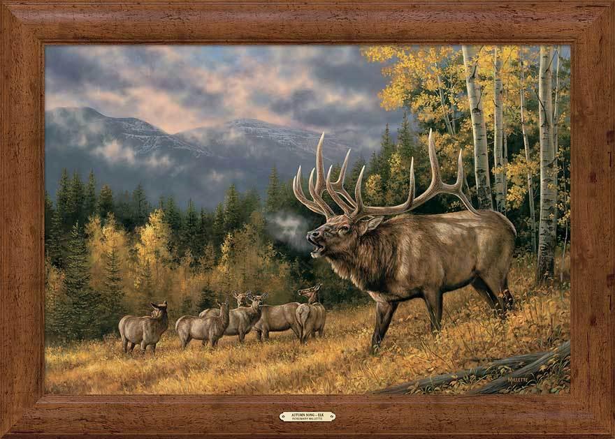 Autumn Song—Elk Framed Gallery Canvas - Wild Wings