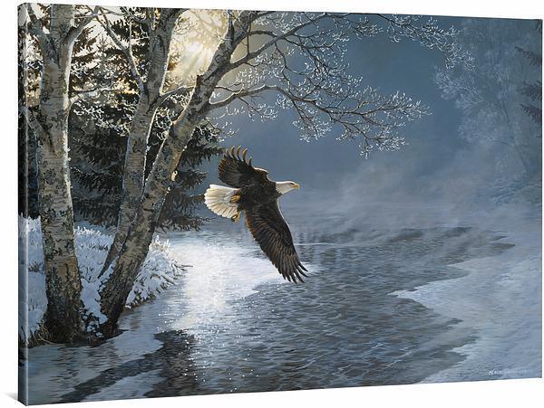 Awakening—Bald Eagle Gallery Wrapped Canvas - Wild Wings