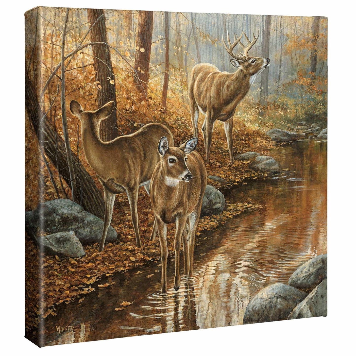 Backwater Passage Gallery Wrapped Canvas - Wild Wings