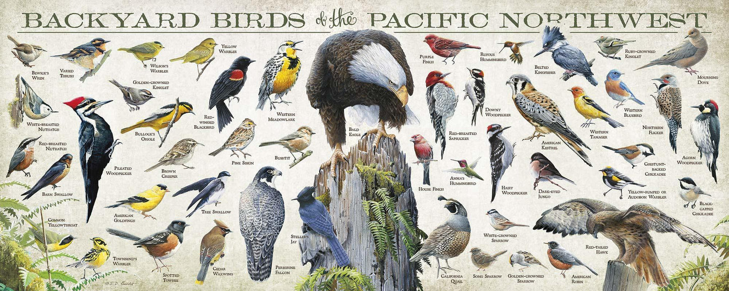 Backyard Birds of the Pacific Northwest 12" x 30" Wood Sign - Wild Wings