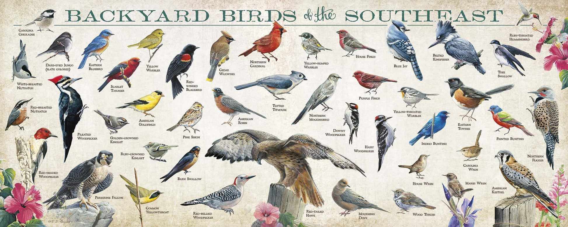 Backyard Birds of the Southeast 12" x 30" Wood Sign - Wild Wings