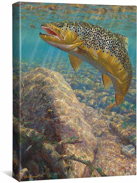 Bad Decision—Brown Trout Gallery Wrapped Canvas - Wild Wings